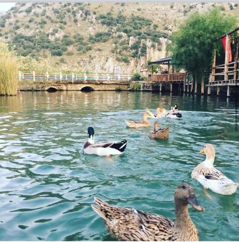 Gölbaşı Restaurant - Dalyan Villas