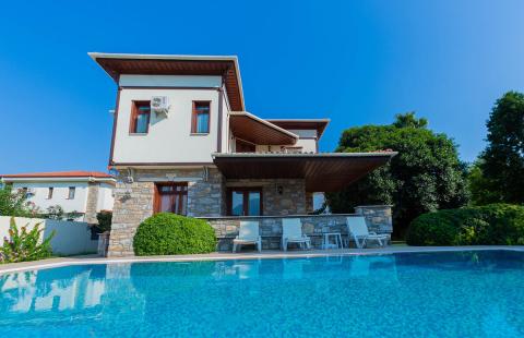 Villa Green rose
